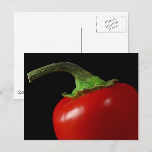 赤唐辛子 ポストカード (正面/裏面)
