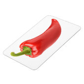 赤唐辛子 マグネット (左側)