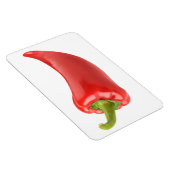 赤唐辛子 マグネット (右側)