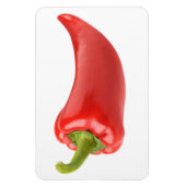赤唐辛子 マグネット (縦)