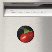 赤唐辛子 マグネット (インサイチュ (食洗機))