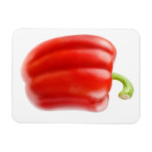 赤唐辛子 マグネット (横)