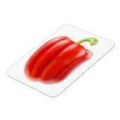 赤唐辛子 マグネット (左側)