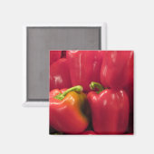 赤唐辛子… マグネット (正面/裏面)