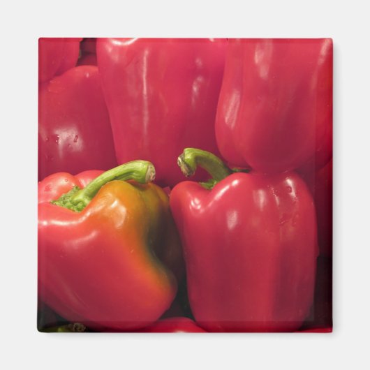 赤唐辛子… マグネット (正面)