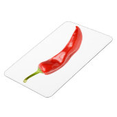 赤唐辛子 マグネット (左側)