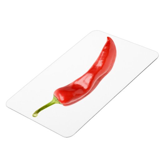 赤唐辛子 マグネット (左側)