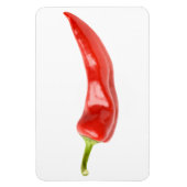 赤唐辛子 マグネット (縦)