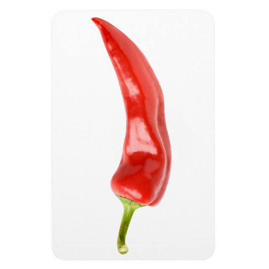 赤唐辛子 マグネット (縦)