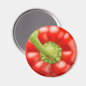 赤唐辛子 マグネット (正面/裏面)