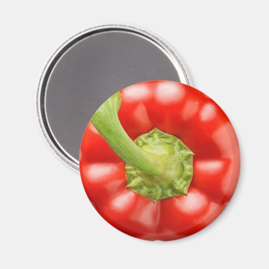 赤唐辛子 マグネット (正面/裏面)