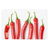 赤唐辛子 マグネット (横)