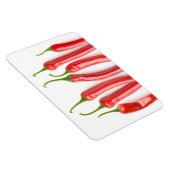 赤唐辛子 マグネット (右側)