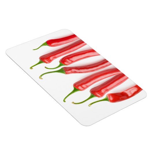 赤唐辛子 マグネット (右側)