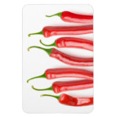 赤唐辛子 マグネット (縦)