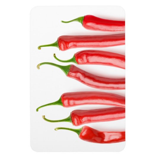 赤唐辛子 マグネット (縦)