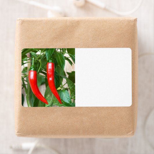 赤唐辛子 ラベル (インサイチュ)