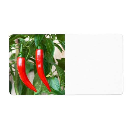 赤唐辛子 ラベル (正面)