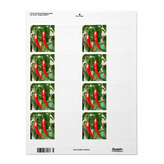 赤唐辛子 ラベル (フルシート)