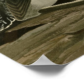 赤喉の裂けたダイバー ポスター (角)