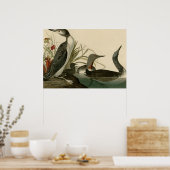 赤喉の裂けたダイバー ポスター (キッチン)