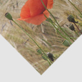 赤夏の花紙 薄葉紙 (詳細)