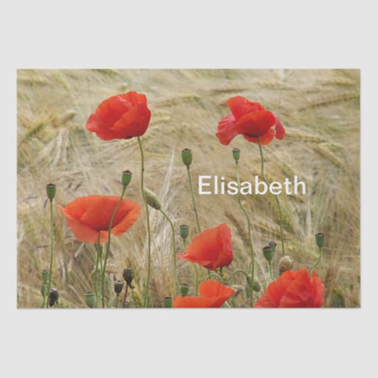 赤夏の花紙 薄葉紙 (正面)