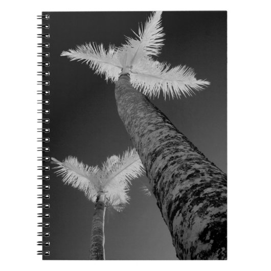 赤外線のヤシ2本。 ノートブック (正面)