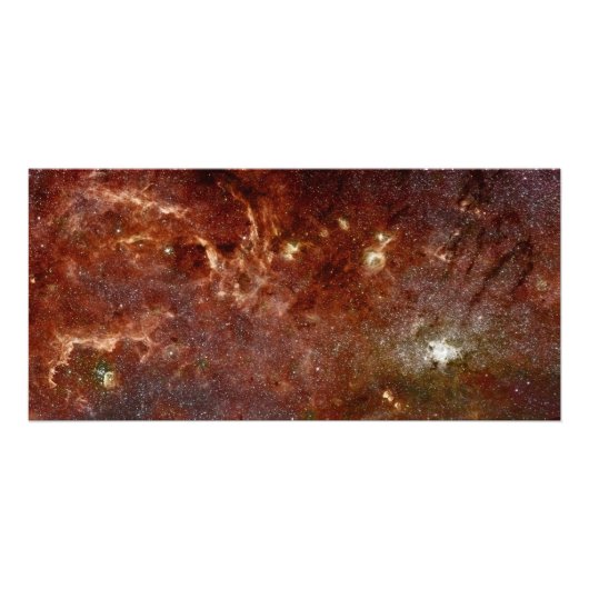 赤外線イメージ フォトプリント            (正面)