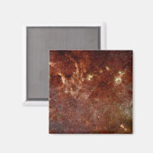 赤外線イメージ マグネット (正面/裏面)