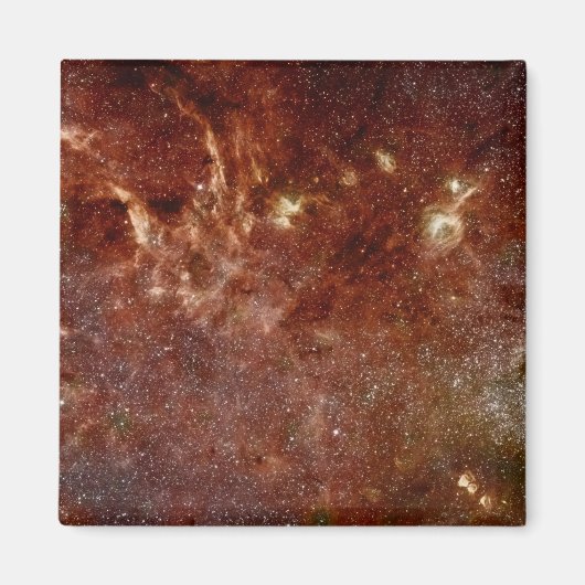 赤外線イメージ マグネット (正面)