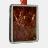 赤外線イメージ メタルオーナメント (右)