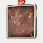 赤外線イメージ メタルオーナメント (左)