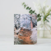 赤外線ウッドランドパス ポストカード (スタンド正面)