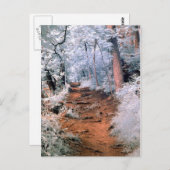 赤外線ウッドランドパス ポストカード (正面/裏面)