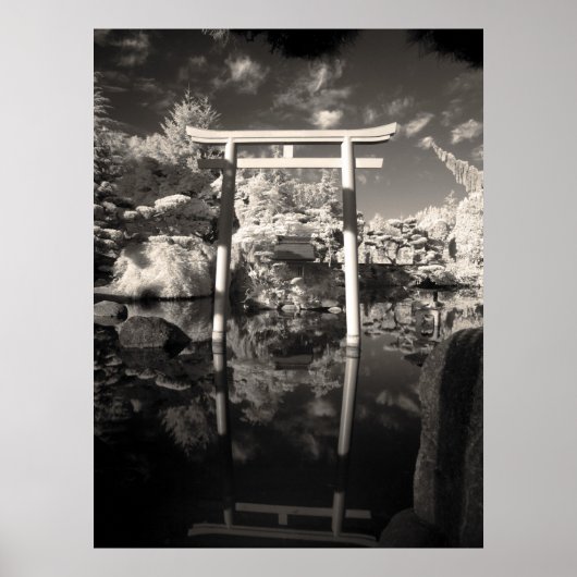 赤外線ガーデン写真 ポスター (正面)