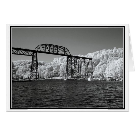 赤外線ブリッジ (正面横)