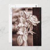 赤外線ブーケ ポストカード (正面/裏面)