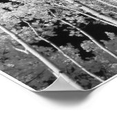 赤外線ポプラ樹林ポスター ポスター (角)