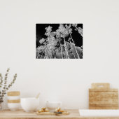 赤外線ポプラ樹林ポスター ポスター (キッチン)