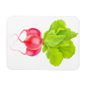 赤大根 マグネット (横)