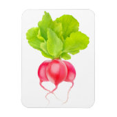 赤大根 マグネット (縦)