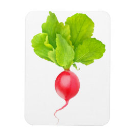 赤大根 マグネット