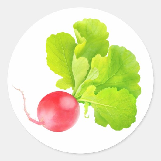 赤大根 ラウンドシール (正面)