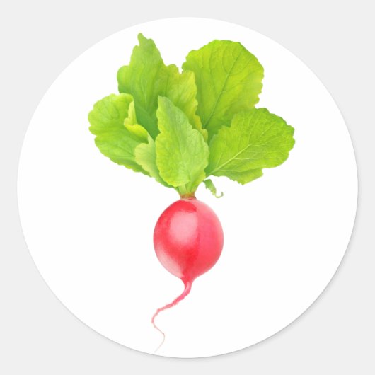 赤大根 ラウンドシール (正面)