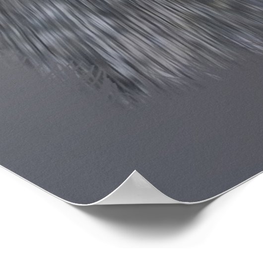 赤失った花びら ポスター (角)