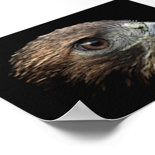 赤尾のタカ ポスター (角)