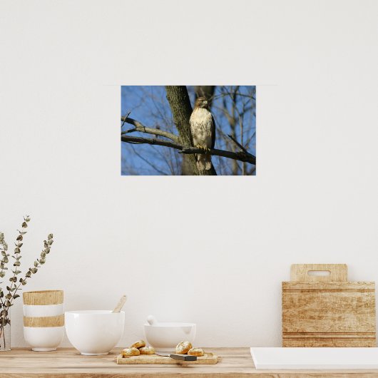 赤尾のタカ ポスター (キッチン)