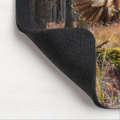 「赤尾のタカ」 マウスパッド (コーナー)