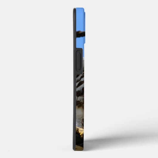 赤尾のタカ、Apple iPhone 13ケース Case-Mate iPhoneケース (裏面 / 右)